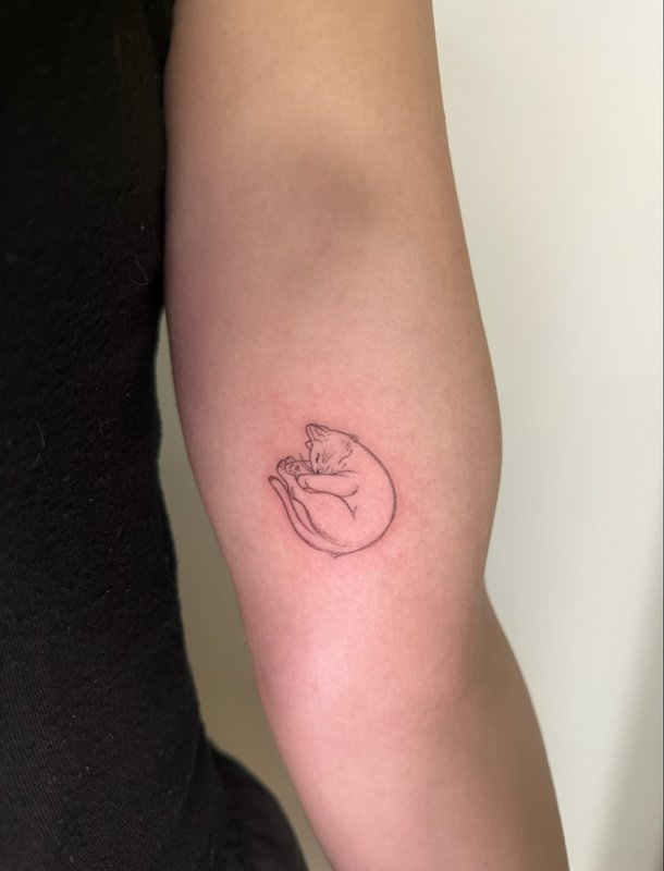 fine line tattoo work at Picosa Ink in Loveland Colorado