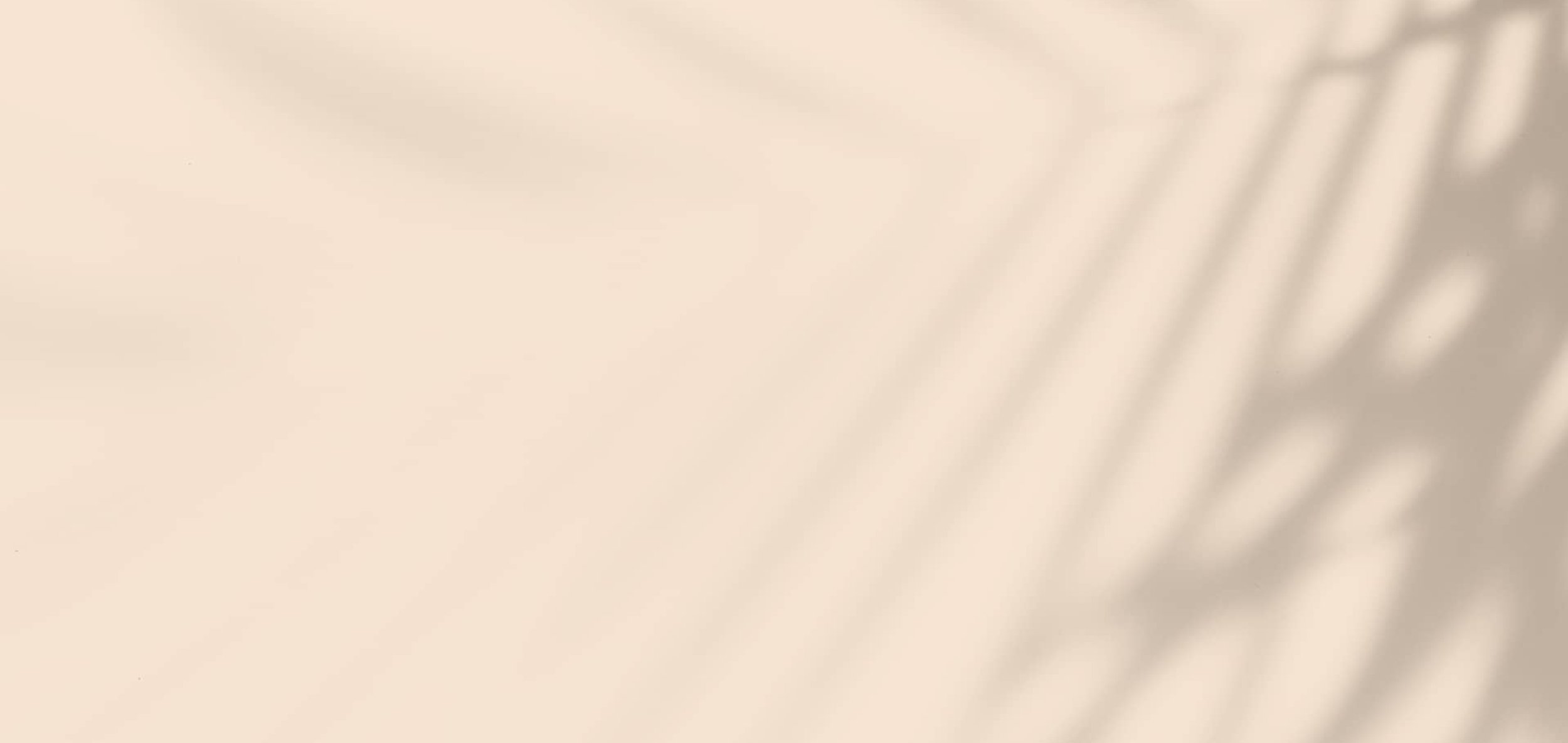 Neutral textured background used for services section